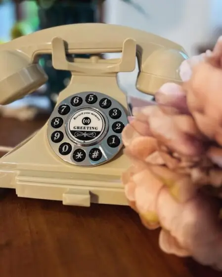 Audio knjiga gostov najem